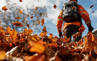 Why Timely Leaf Removal is Essential for a Healthy Lawn in Connecticut